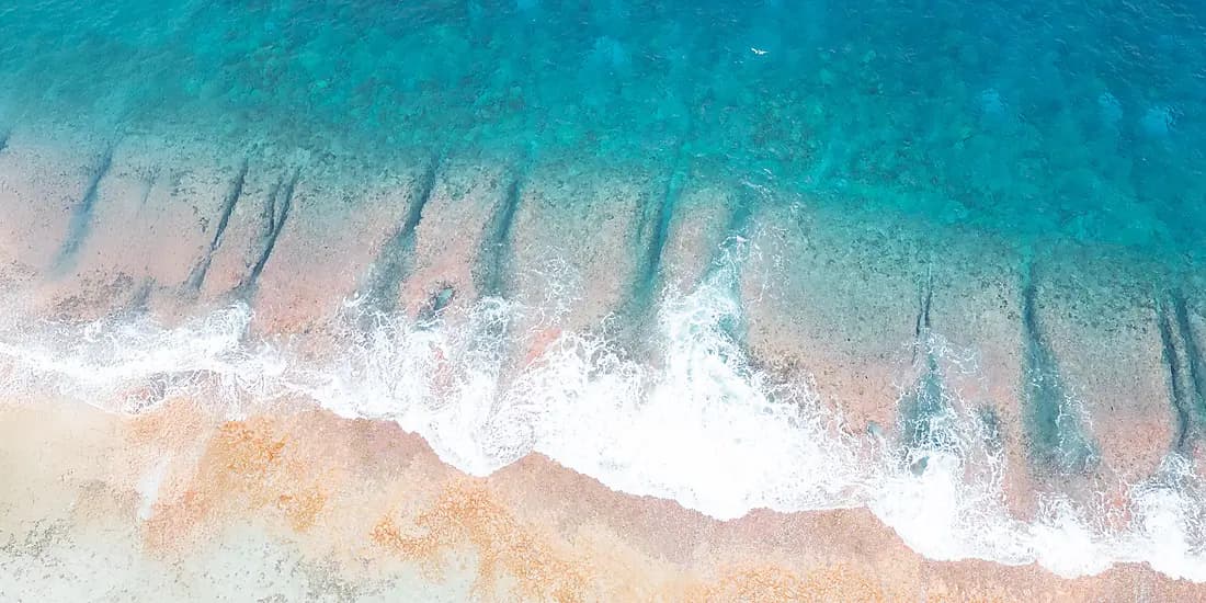 Society Islands & The Tuamotus